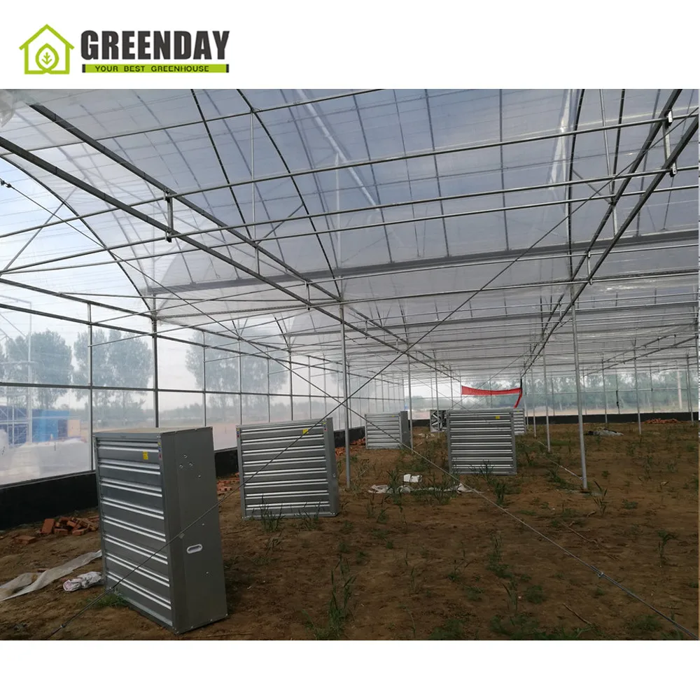 
GREENDAY High quality steel pipe structure hoop green house tunnel greenhouse 