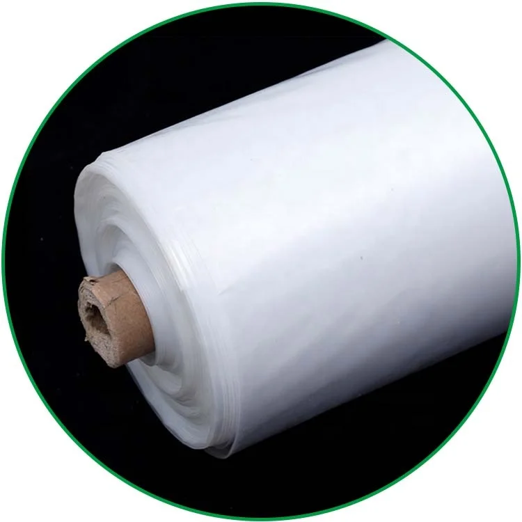 Anti Aging Clear Greenhouse Film for 3 Years Agricultural Greenhouse Polyethylene Film