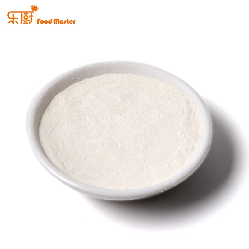 Chinese seasoning powder gralic flavor strong taste Dried gralic flavour powder for snack food