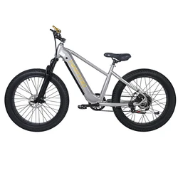 2022 new Electric mountain Bike 750W 1000w 26inch fat electric bikes Chinese electric bicycle 48v cheap electric bike