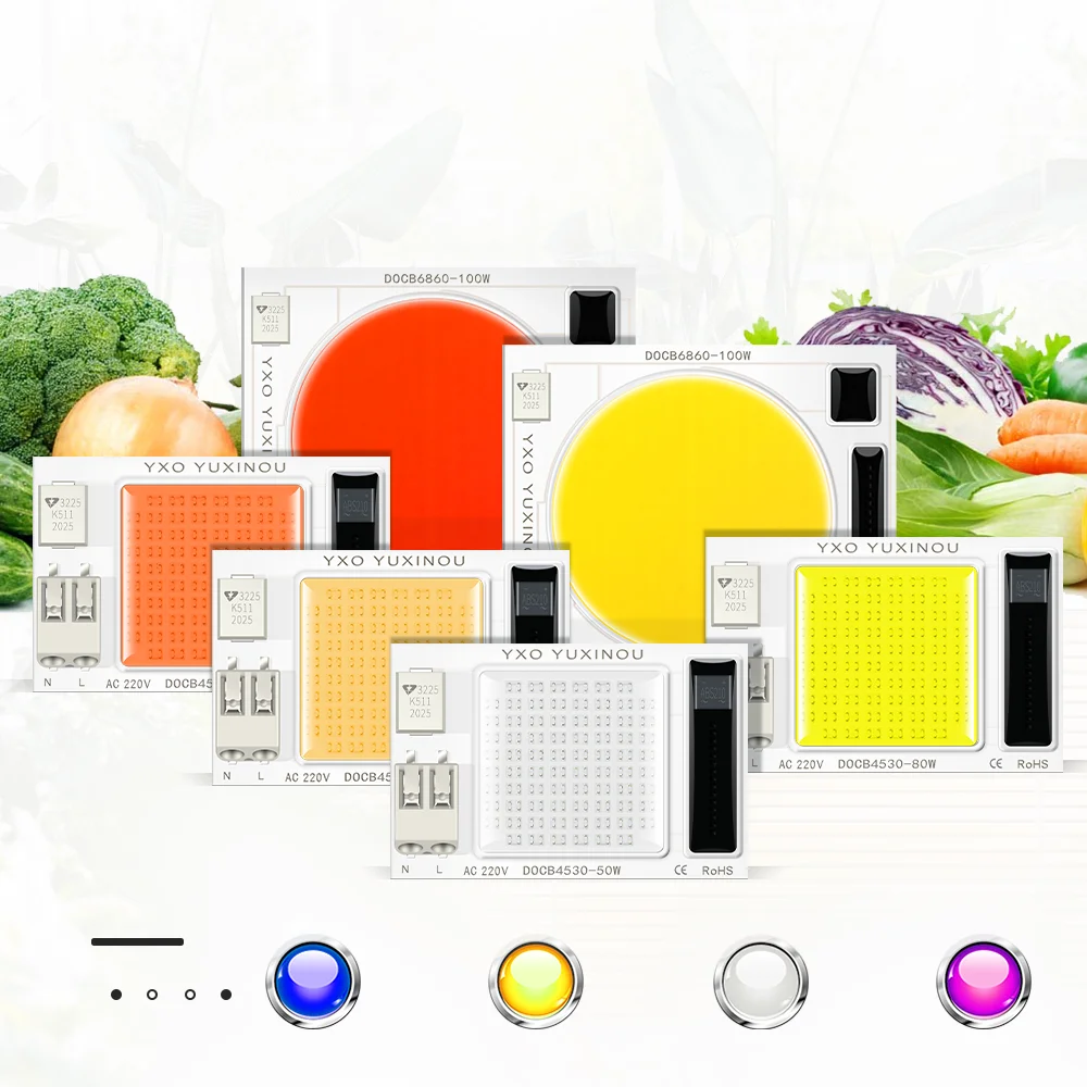 
Light Cold White Warm White Lamp Led Cob Bulb Chip Ac220V Input Smart Ic Diy 50W 80W 100W Led Chip 