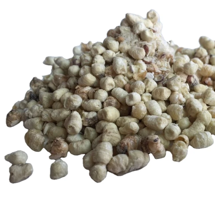 Лиофилизированный Дрон Pupa порошок