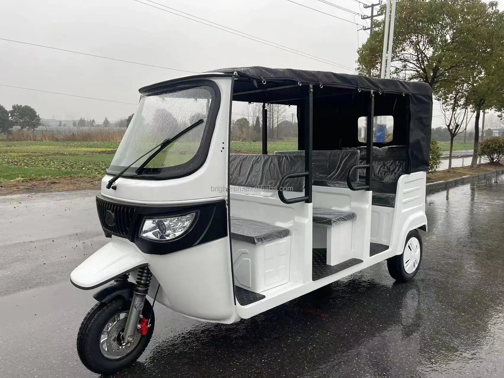 EEC COC Auto Rickshaw Electric Battery Power Tricycle for Passenger Efficient and Eco-Friendly Electric Rickshaw