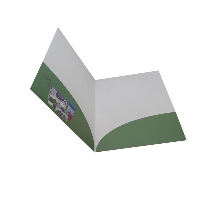 Hot Sale A4 Office Stationery Paper File Folder With