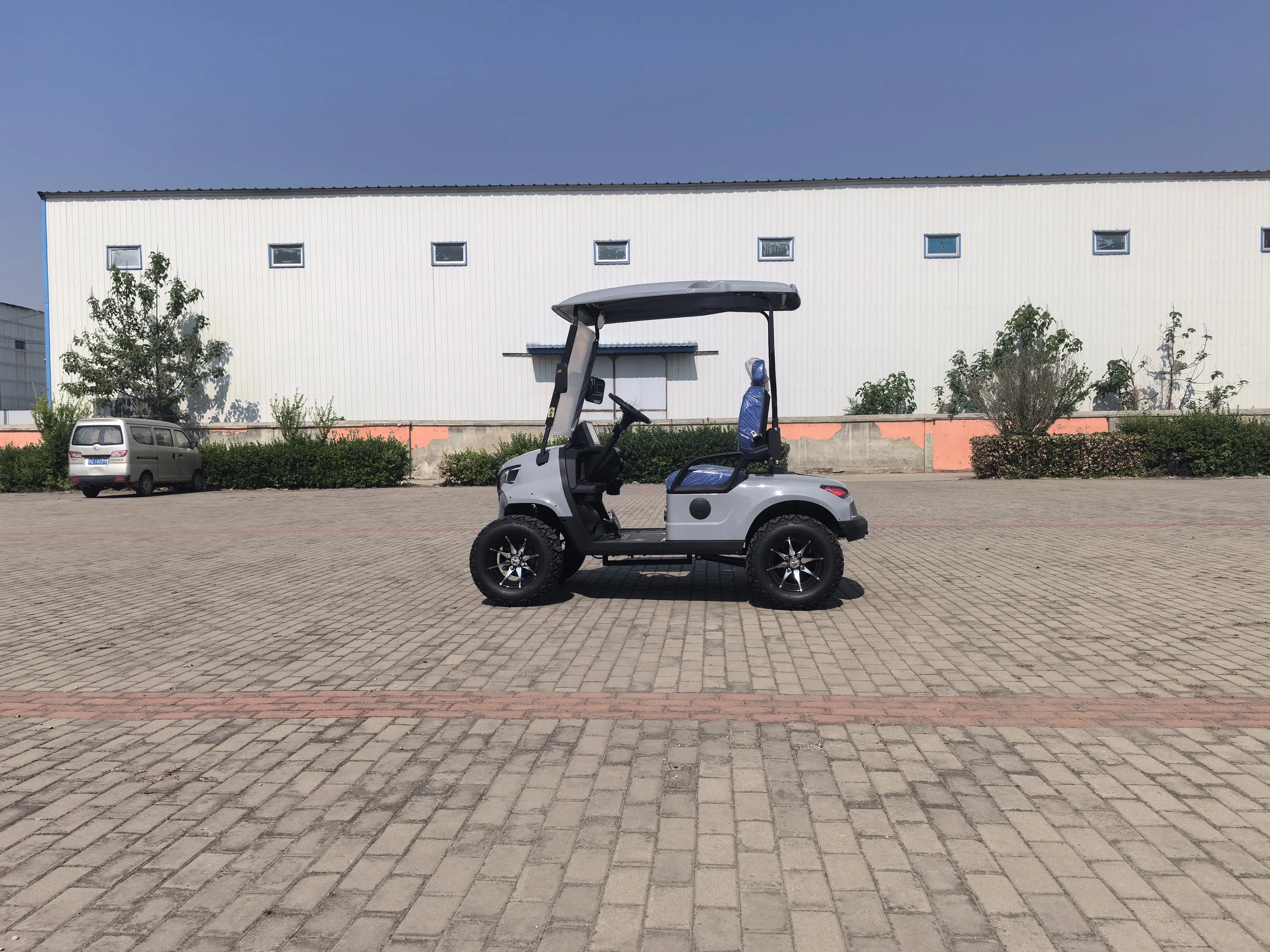 electric golf car customization lifted 2 seater electric golf car price of golf car for sale Garden Villa Hunting