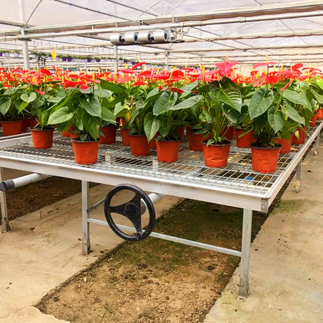 Good quality Greenhouse Rolling Bench Growing Table With Upright Pipe Trellis