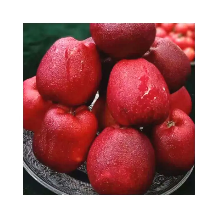 2021 Custom Design bulk RED STAR APPLE 60mm-75mm red fresh apple from china