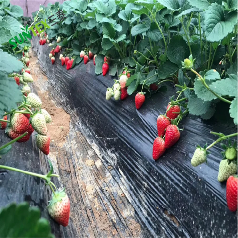 Пленка для Мульчирования 8 микрон черная из полиэтилена сельского