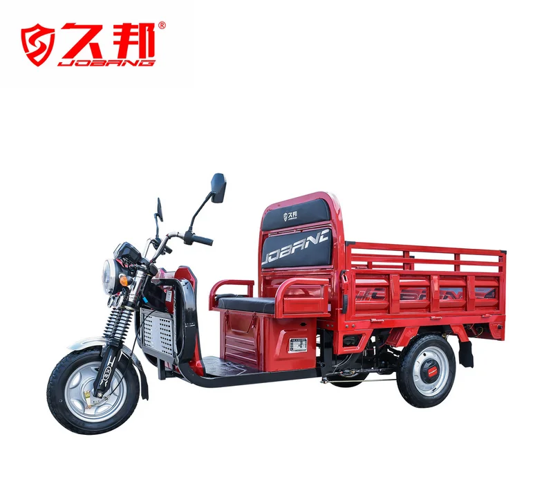 Heavy Loading 1000 KG Three Wheeler Transport Trike for Cargo