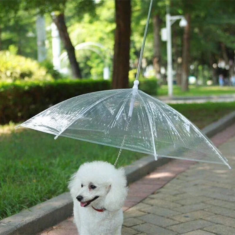Eco-friendly Professional Pet Travel & Outdoors Grooming Products Transparent Umbrella for Small Dogs