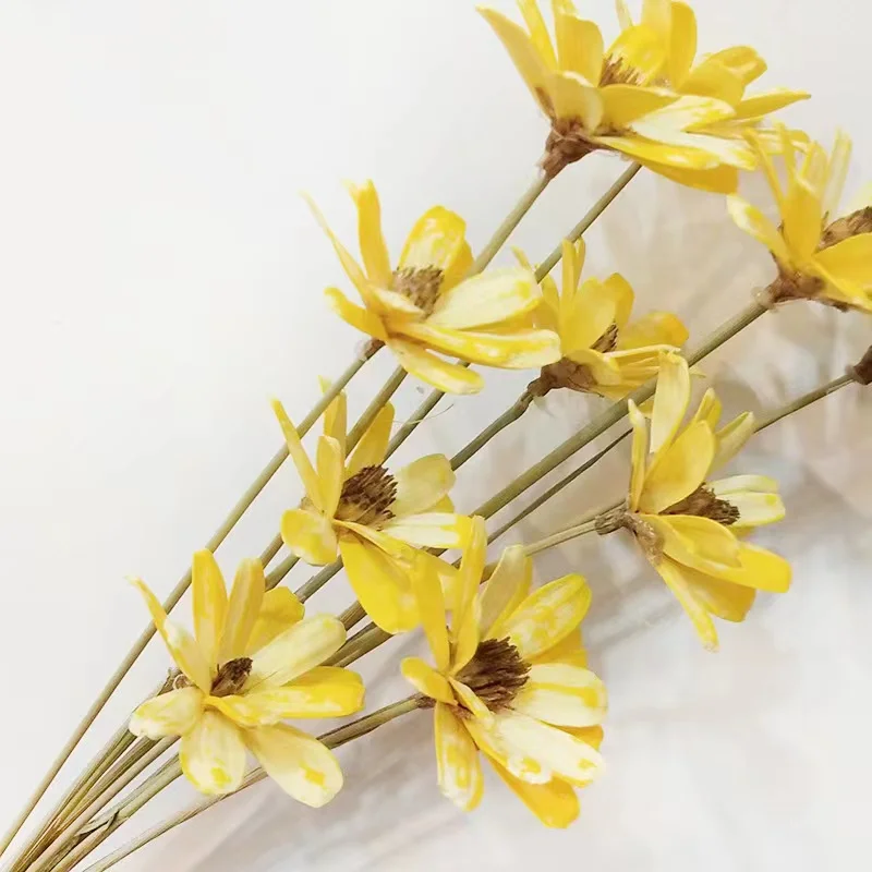 Factory Direct Wholesale Colorful handmade Melon seeds flower for Desktop decoration