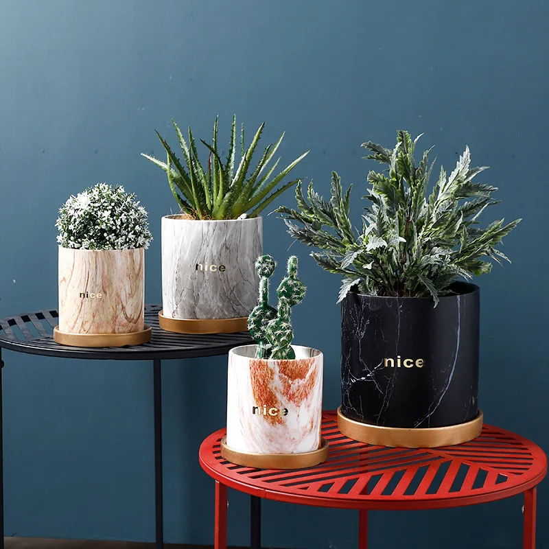 3/5/6 дюйма, маленькие керамические цилиндрические горшки для суккулентов, контейнеры с золотым подносом