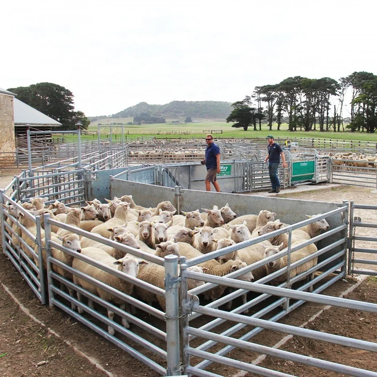 5ft 6ft 7ft 8ft galvanized ranch cattle horse fence panels