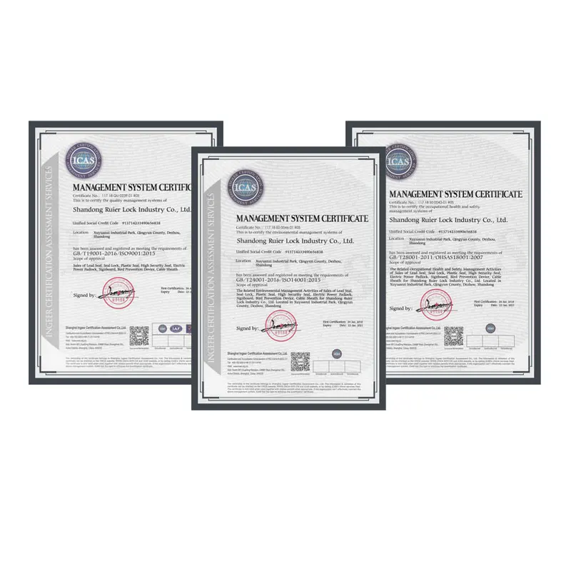 Ruier REM206 Twist Wire Plastic Coated Certificate ABS Blue Gas Oil Water Tanker Security Meter Seal