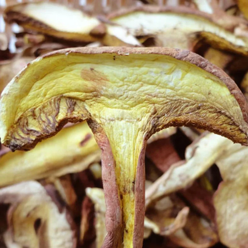 Dried  manufacturer dried boletus edulis