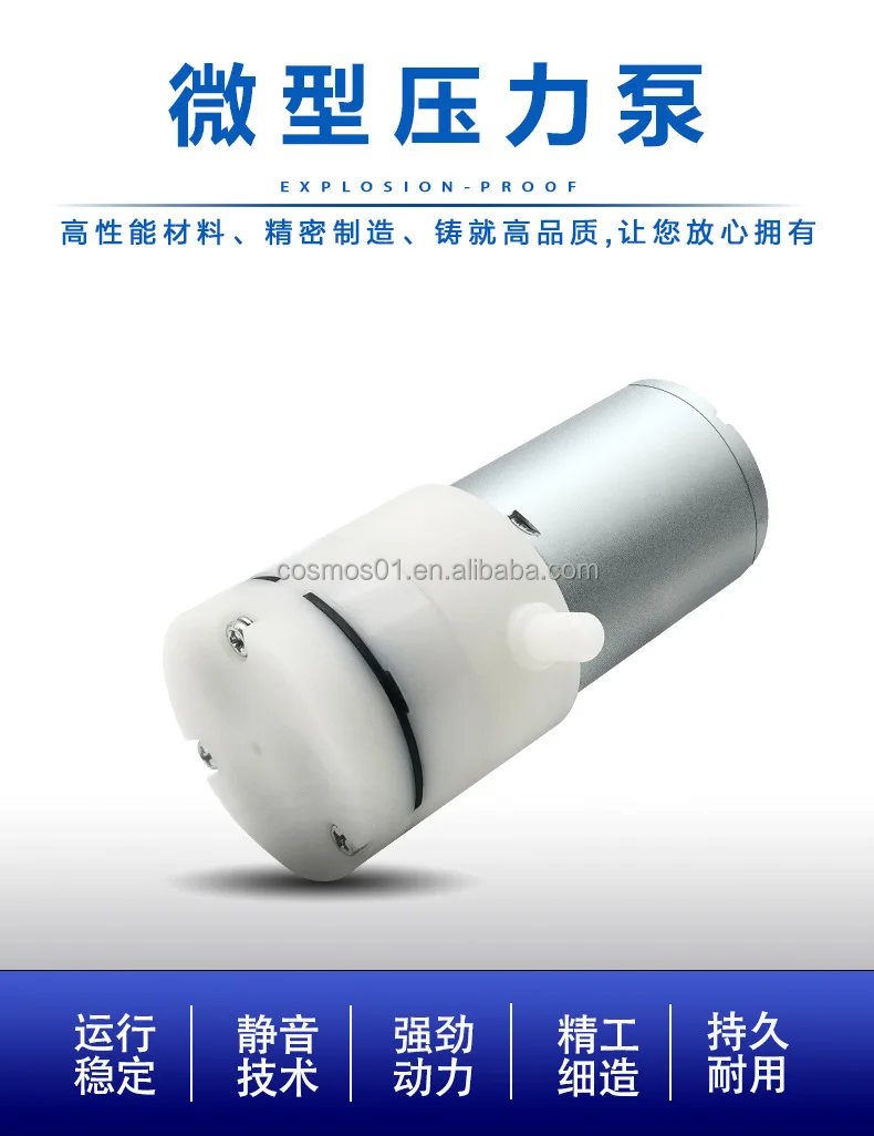DC Micro Mini Diaphragm Pumps Small Water Pump Food Grade 12v 24v Max Metal OEM Customized Automotive Power Item Cable Family