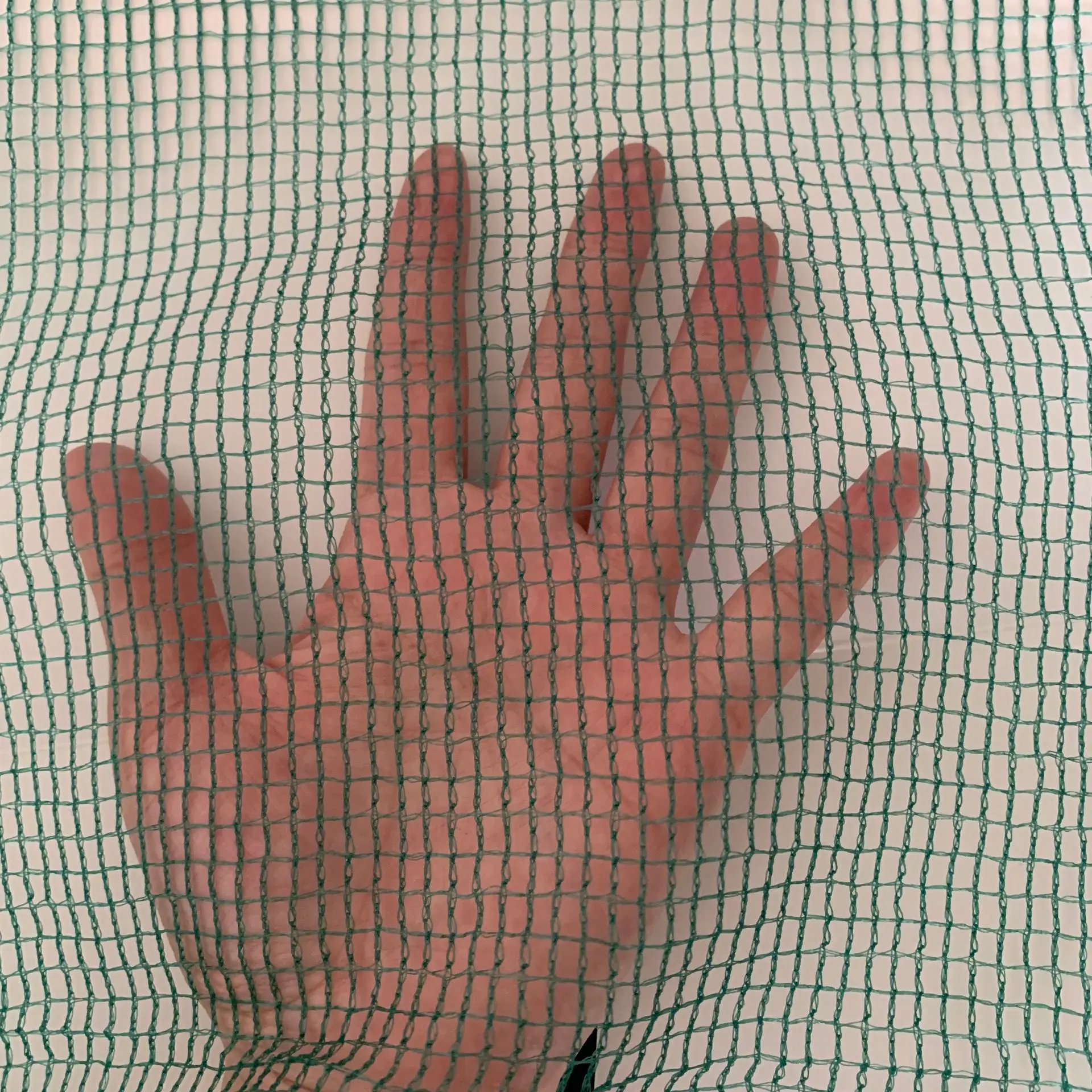 Tunisia Olive Oil Collection Picking Mesh Olive net