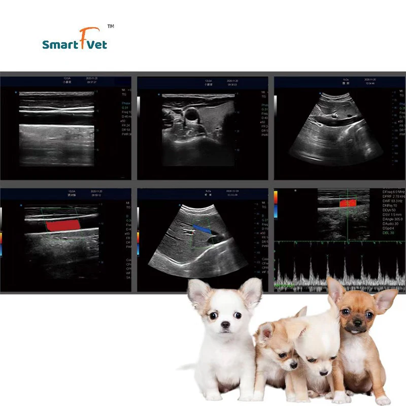 Маленький Ветеринарный ультразвуковой сканер для животных портативный ветеринарный