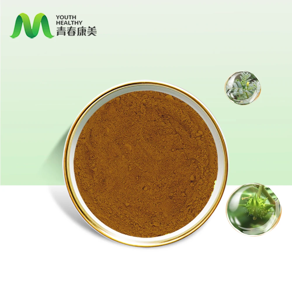 Pure Natural Tribulus Terrestris Extract Powder