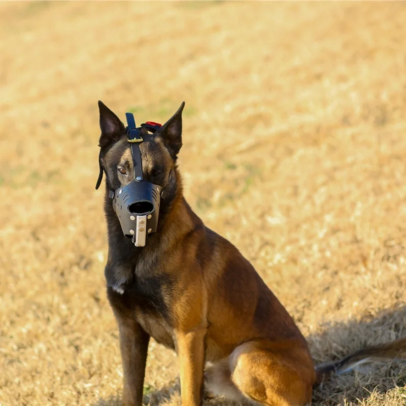 Multifunctional Pitbull Leather Metal Stainless Steel Silicone Muzzle For Large Dog