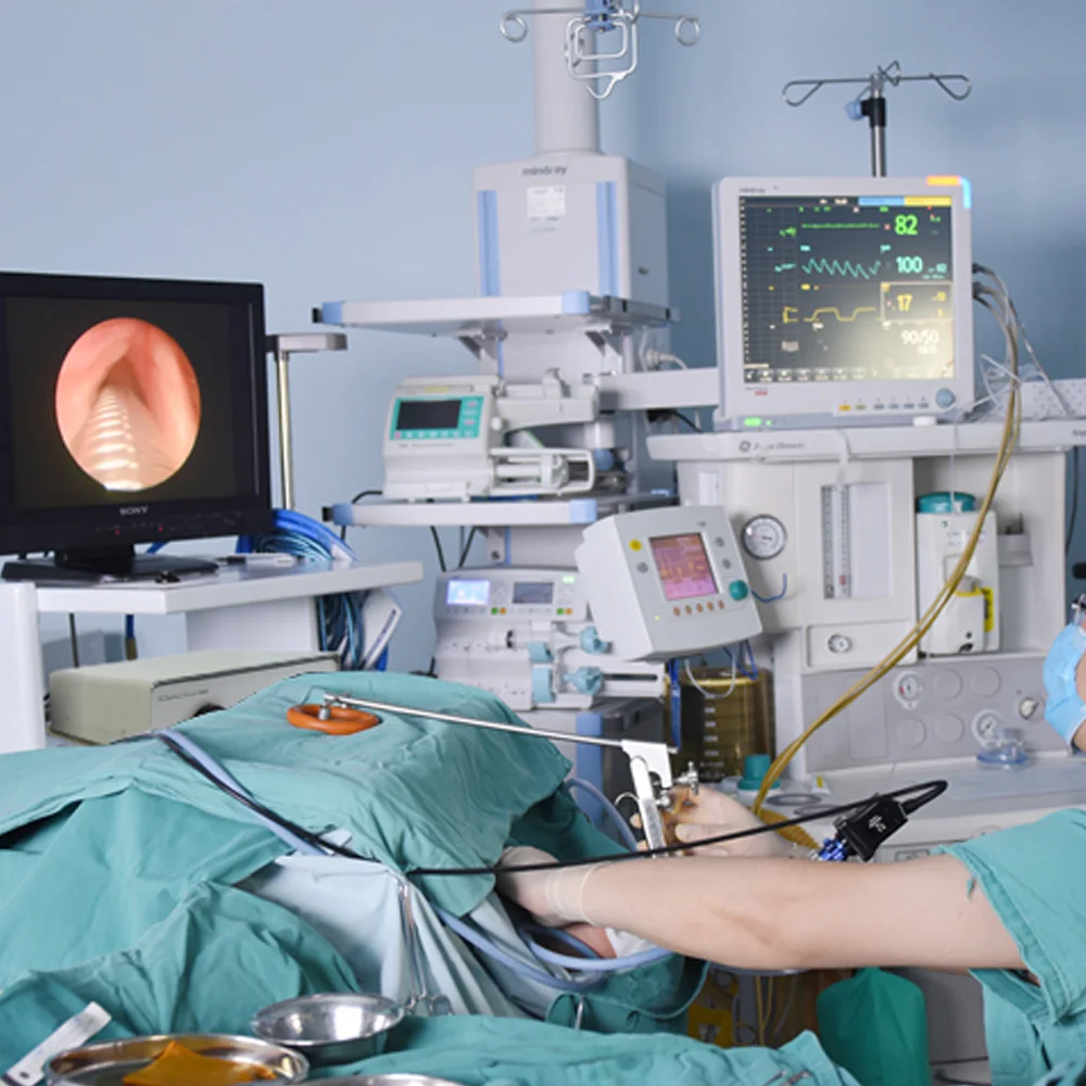 Chenwei Portable LED Fiber Optical Endoscope Microscope with Cold Light Optimal Lighting Source Medical Operations ENT Light