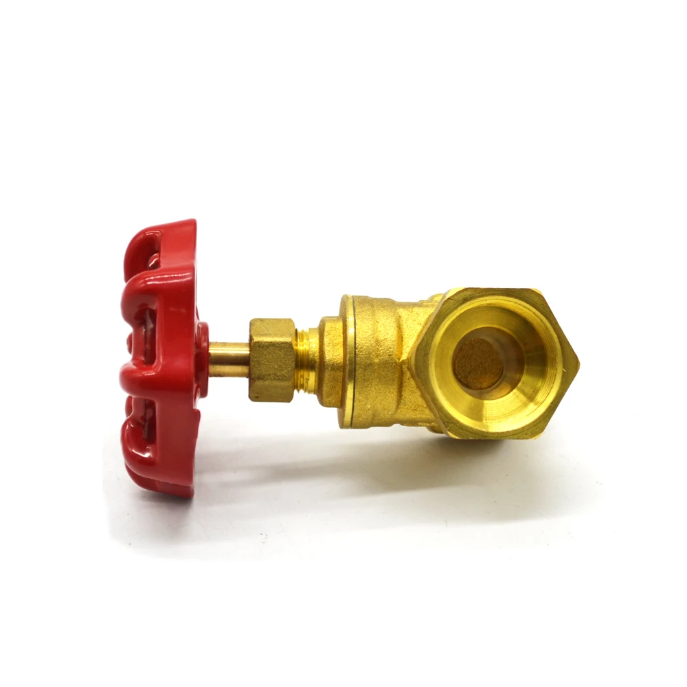 China made 1.6 MPA  Gate Valve brass spring check valve DN10/DN25/DN32 swing water valve