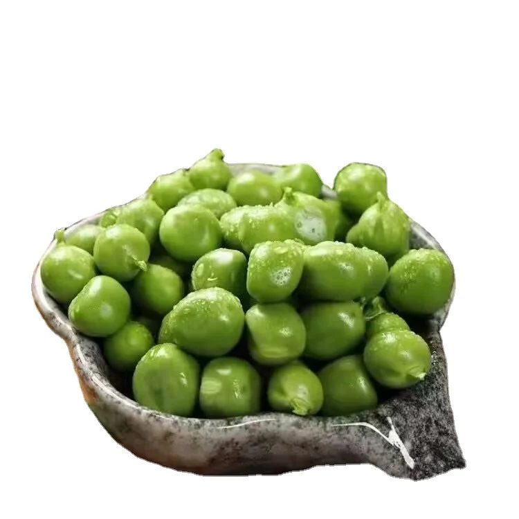 High Quality Canned Green Peas Easy Open Canned Peas Price
