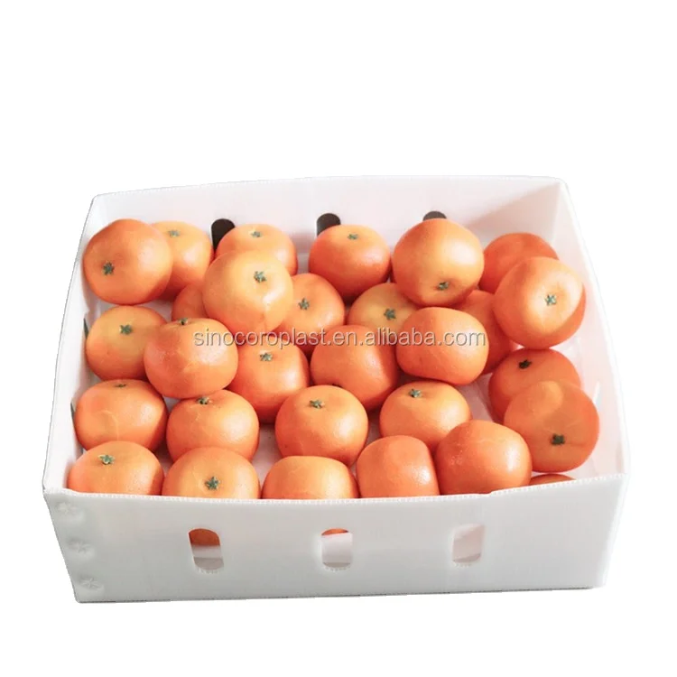 PP Coroplast Box PP Plastic Corrugated Sheet Correx PP Hollow Plastic large moving Packing Box