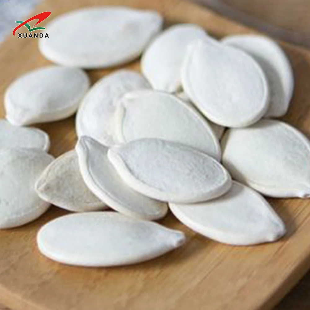 New crop Chinese Factory Supply High Quality Snow White Squash Seeds Large Size 11mm 100% Fresh Raw Pumpkin Seeds