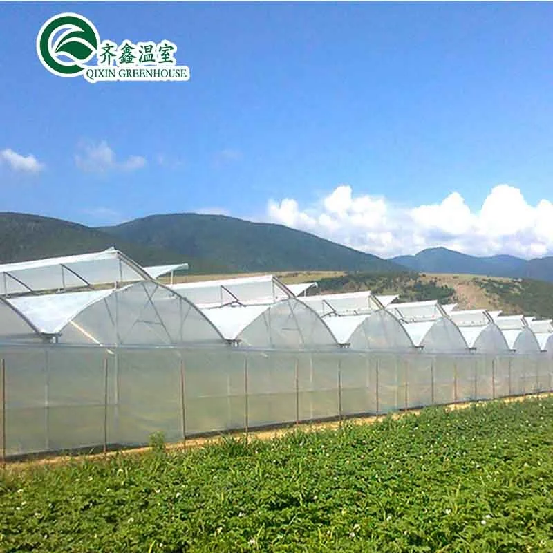 greenhouse aquaponics hydroponic growing systems