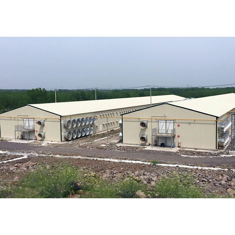 Portal framing light weight steel fabricator steel poultry house steel structure chicken egg layer building