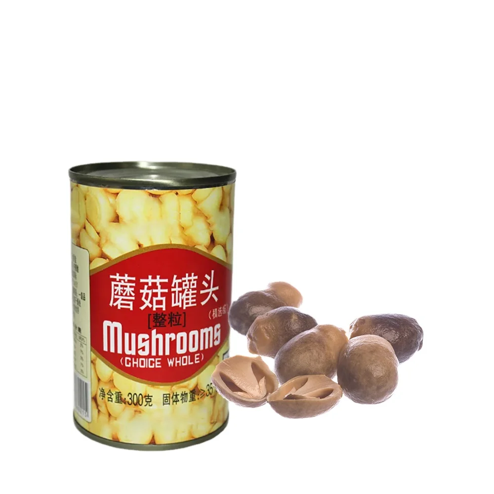 canned champignon mushroom 425g