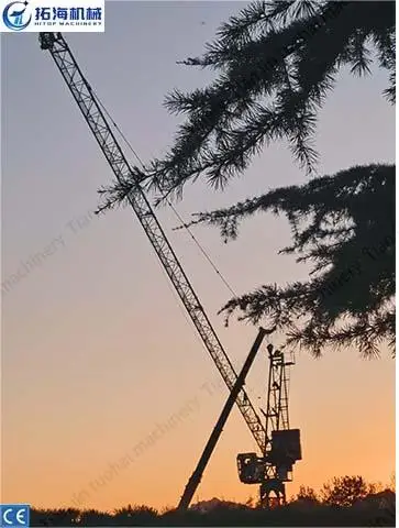 engineering construction machinery heavy duty tower crane hot sale customised and inspection available!