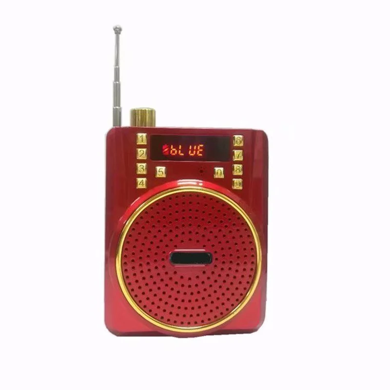 Hot Sales Radio Digital Display Microphone Speaker USB Recording Teacher and Guide Voice Amplifier
