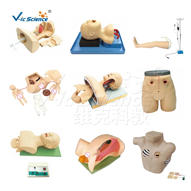 Intradermal Injection Arm Model for Training