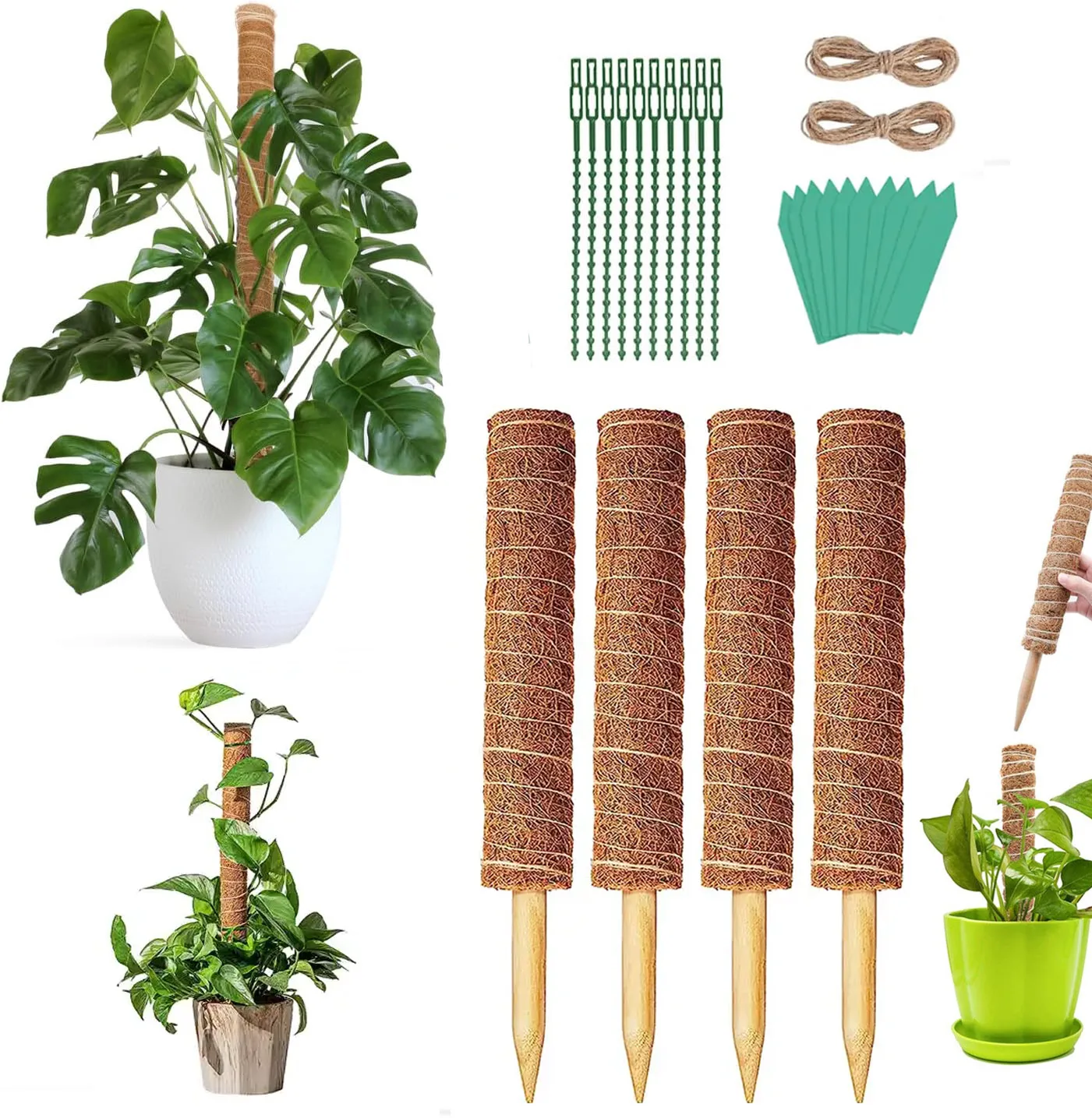 12 Inch Durable Plant Stakes Indoor Garden Tomato Climbing Growth Sticks Support Natural Moss Pole for Plants