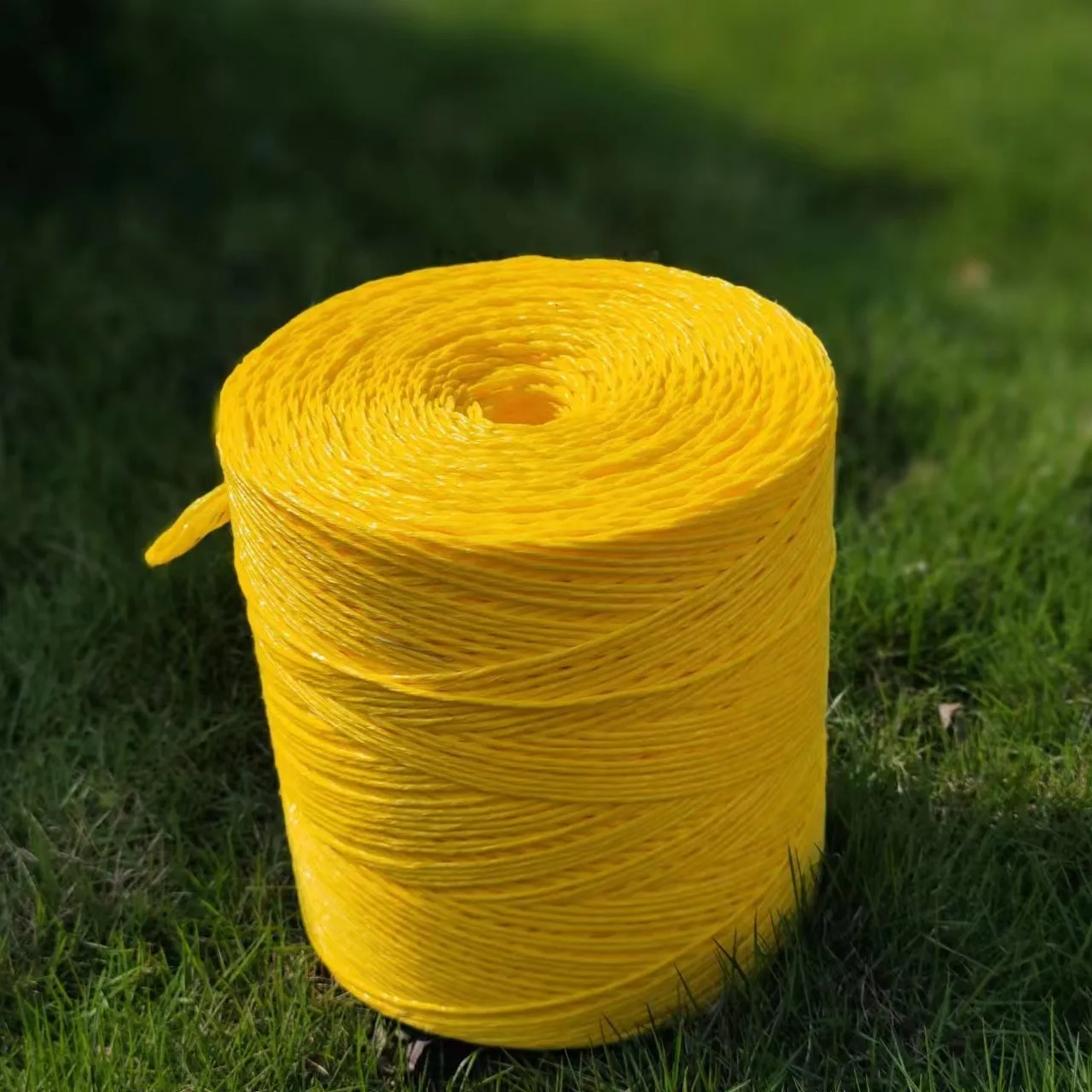 Garden Cucumber Twine for Crawling Plastic Plant Support Climbing