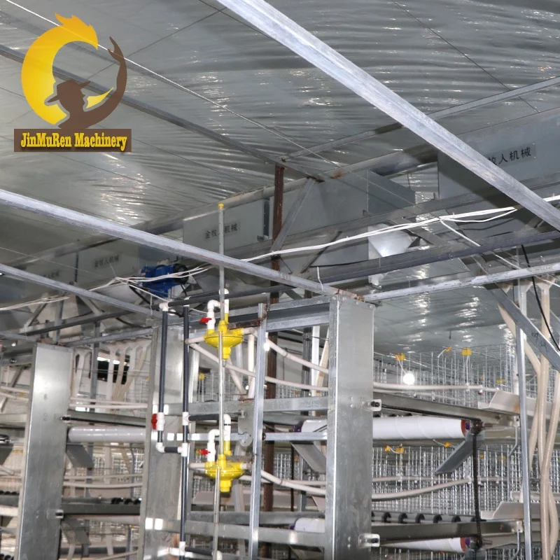 Jinmuren Poultry Cage Chicken Farming Making Machine for 1 Day Old Chicks