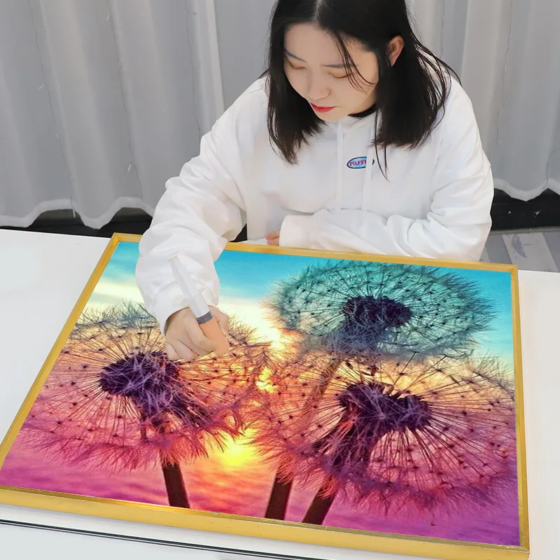 Meian Flower Full drill diy Diamond Embroidery Display Dandelion Picture Of Rhinestone Diamond Paintings Mosaic Home Decor Gift