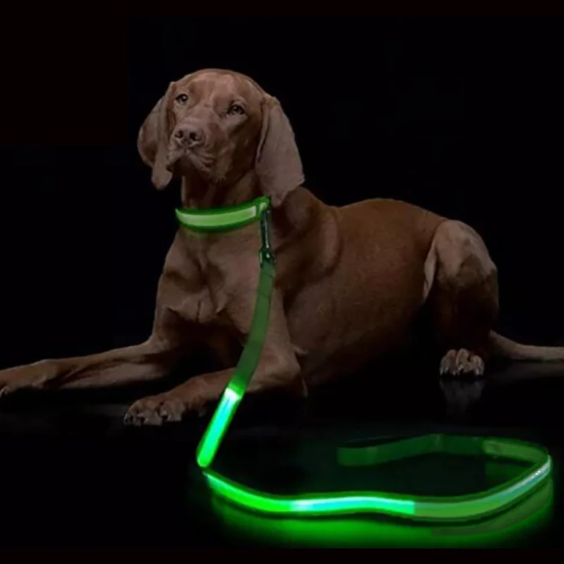 LED Light Up Dog Leash Luminous Rope Lead Leash Dog Safety Flashing Glowing LED Dog Leash Collar Electronic Pet Accessories