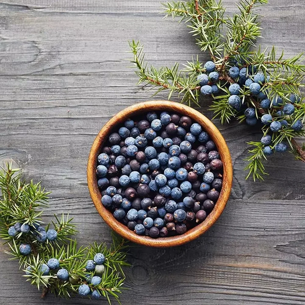 Dried JUNIPER BERRIES / contract pre-order 100% ORGANIC berries food supplement whole juniper berries for food