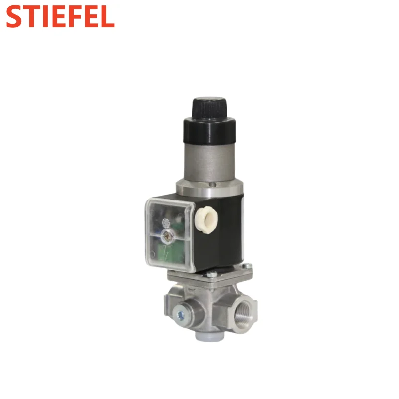 DEVSG Series 12V DC High-Temperature Shutoff Structure Fast Closing Gas Solenoid Valve Use For industrial burner