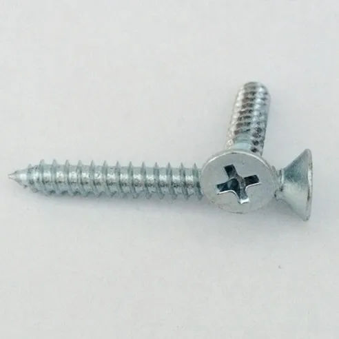Carbon Steel Screw Flat Phillips CSK Screw SS 316 304  Self Tapping Screw