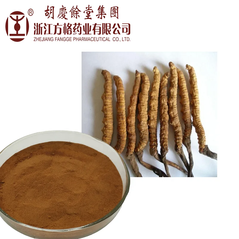 Cordyceps sinensis mycelium extract20%-40%; GMP/HACCP certificate;Cordyceps