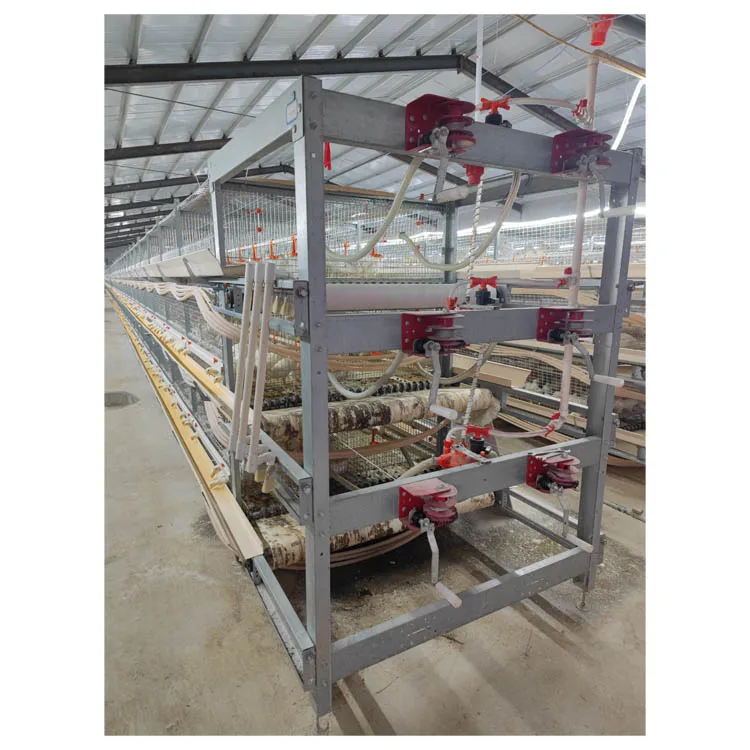 Commercial Farming Poultry Equipment Chicken Farm Broiler Cage H Type Broiler Chicken Cage for Automatic Manure Cleaning