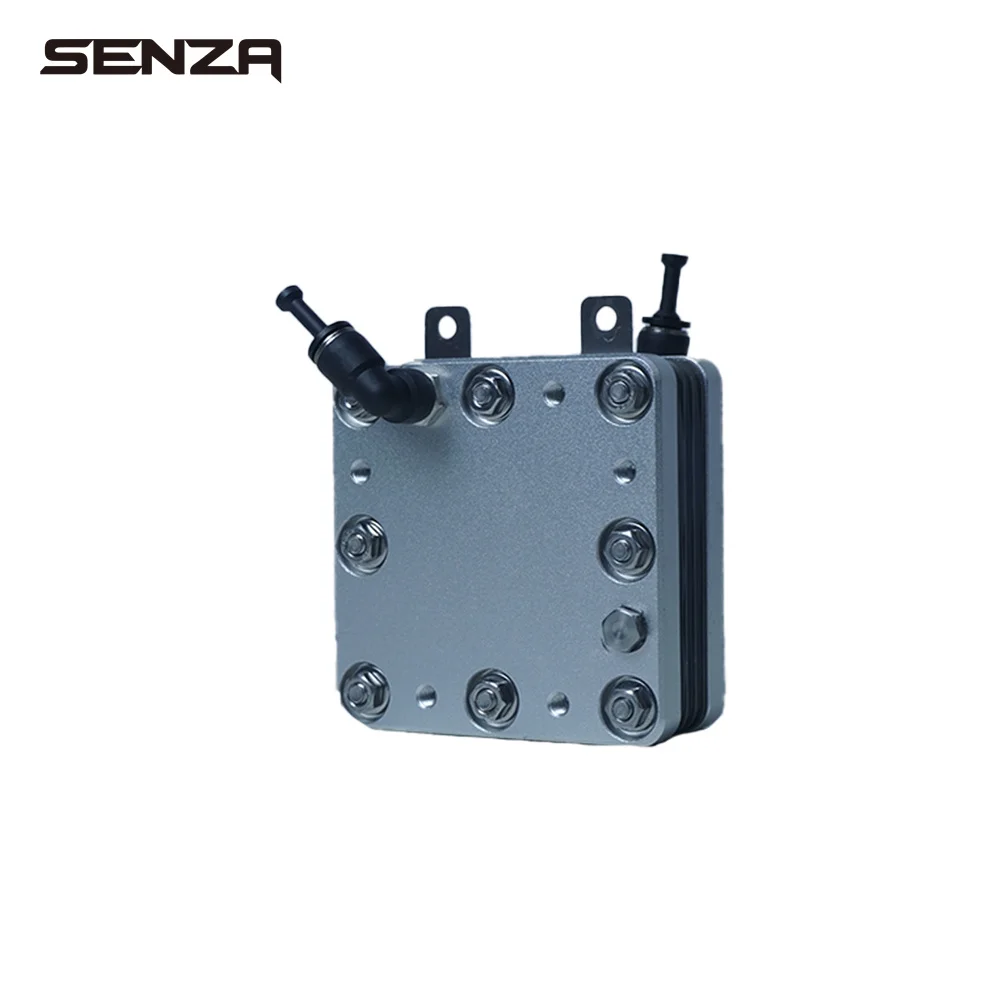 SENZA Dropshipping 300-1200ml/min PEM SPE HHO  Generator Dry Cell HHO Gas Generator Oxyhydrogen