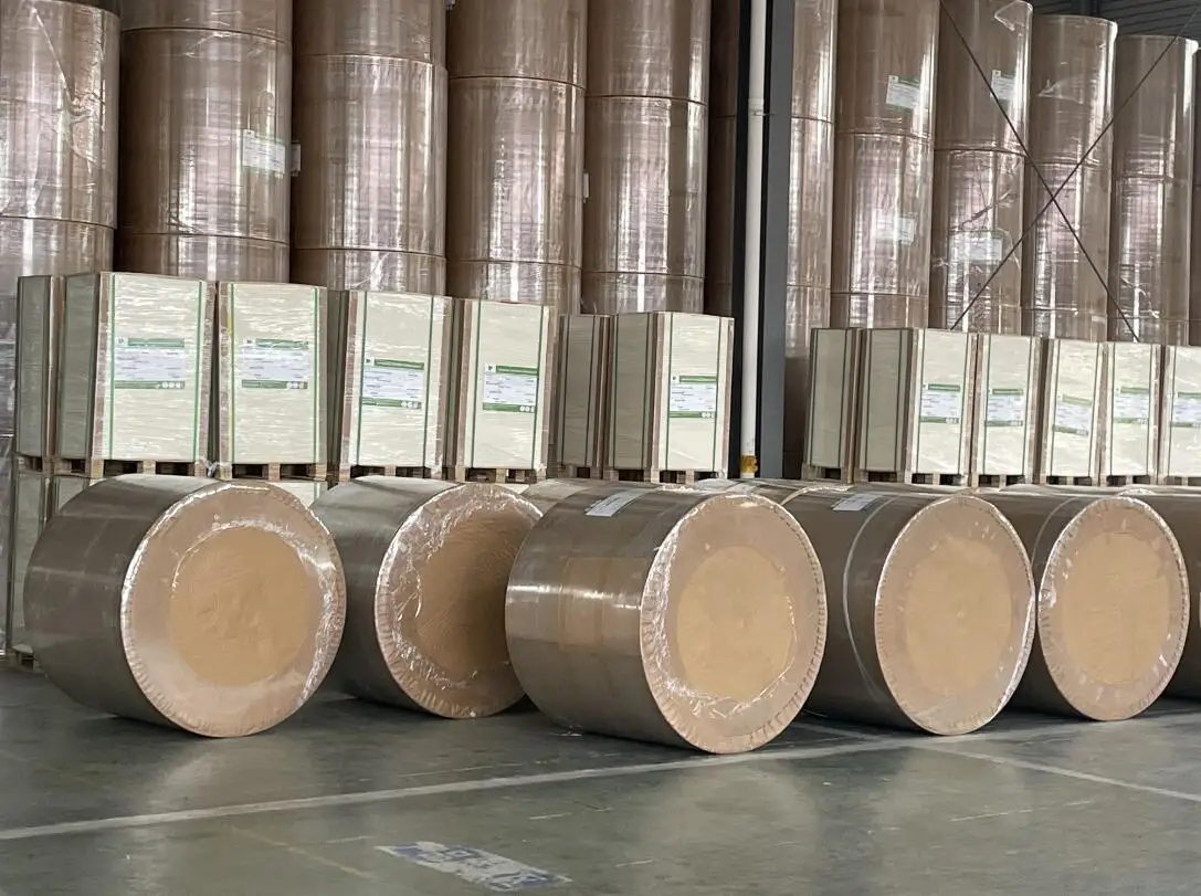 150 160 170 180 190 210 GSM + PE Coated Cup Paper Raw Material in rolls