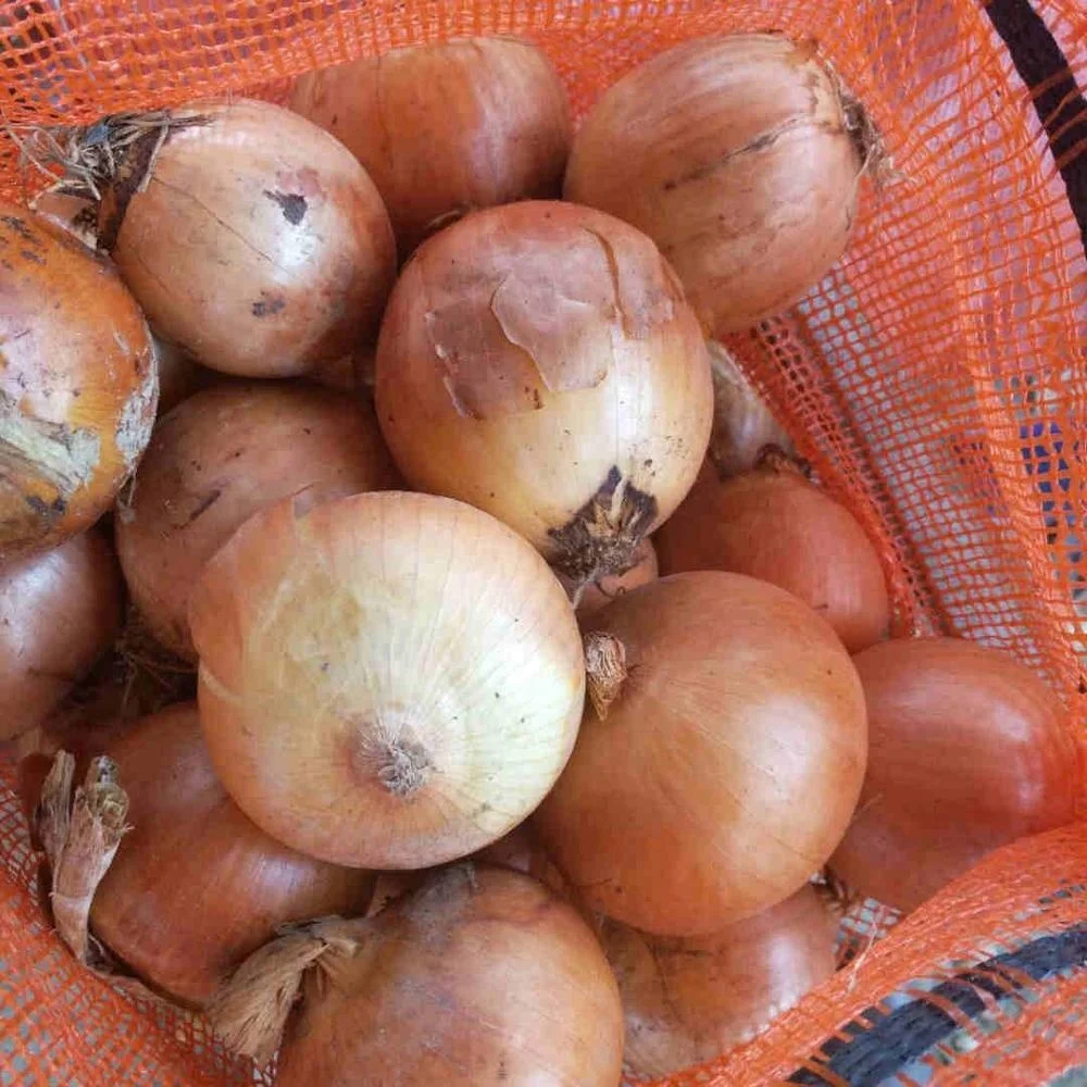 Carefully selected 10kg/20kg/25kg bulk fresh yellow onion chinese onion fresh onions from china