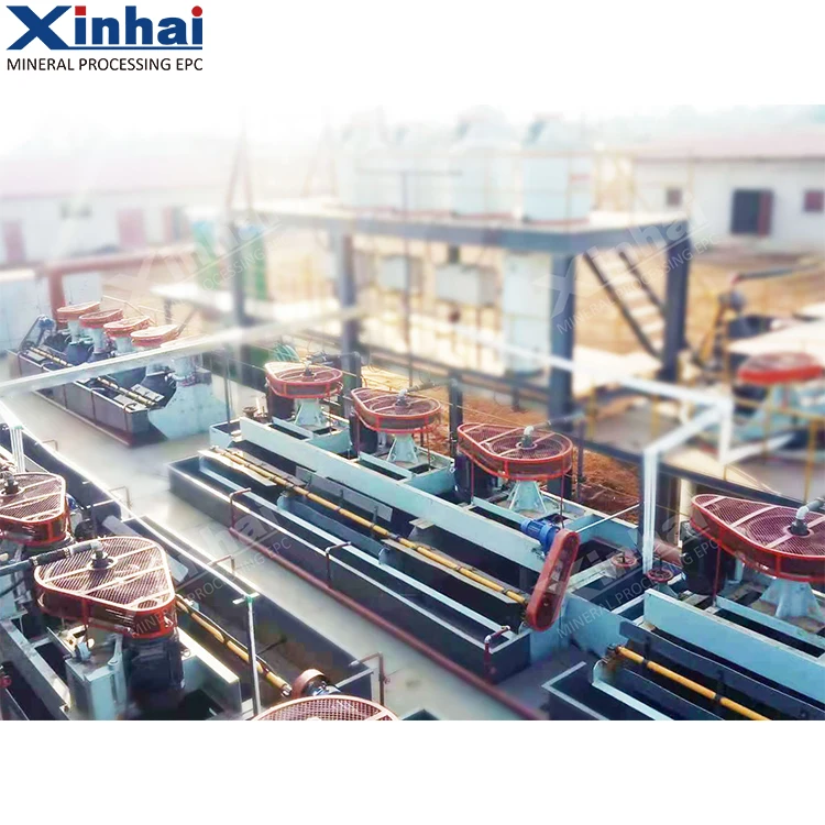 300td Automatic Control Spodumene Froth Flotation Machine Lithium Ore Extraction Processing Plant