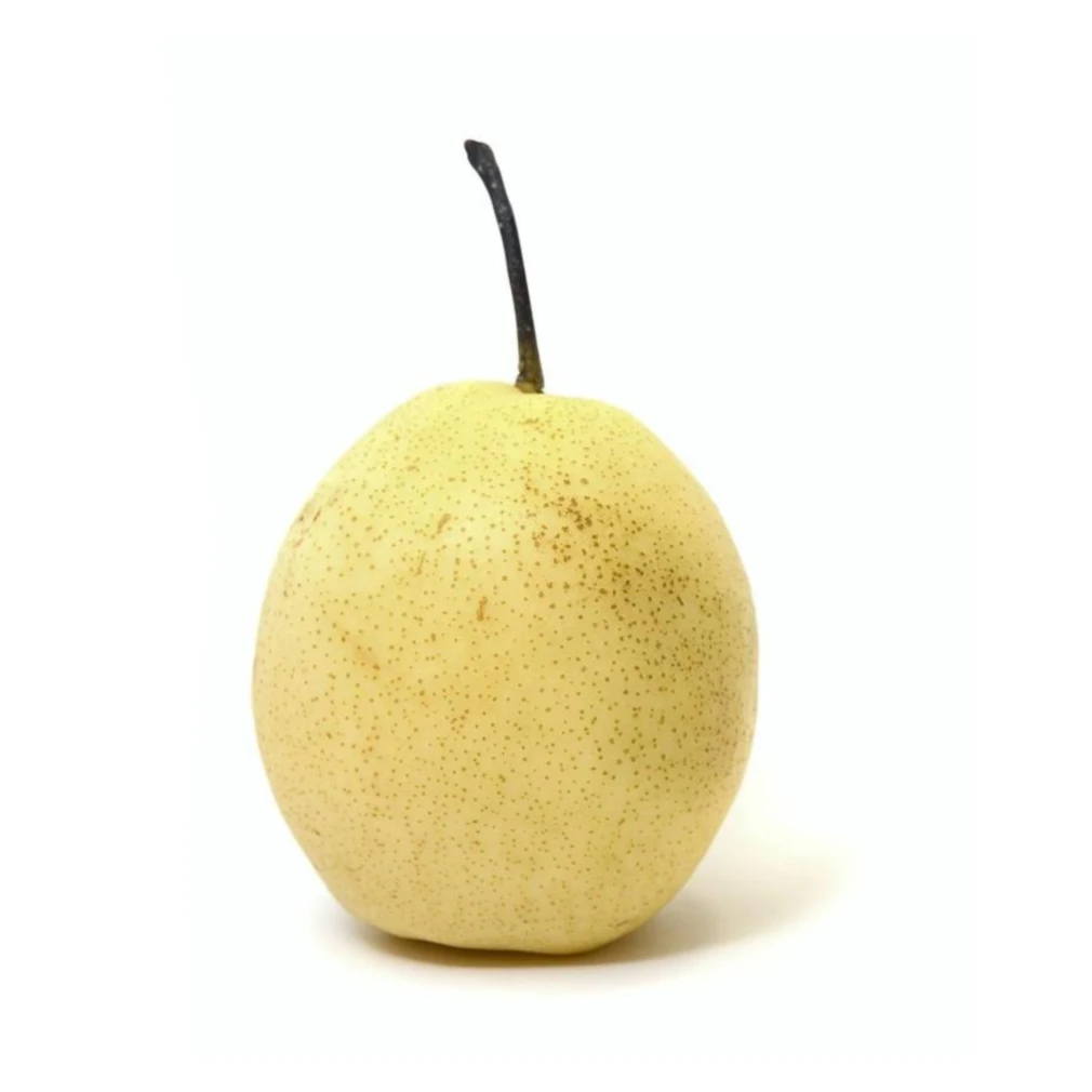 Excellent Quality Low Price Fresh Delicious Big Yellow Pear